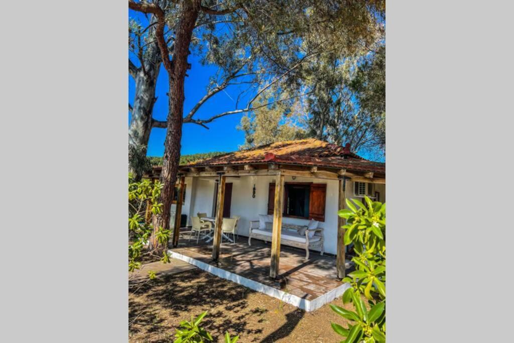 Amouage Boutique Home Kolios Buitenkant foto